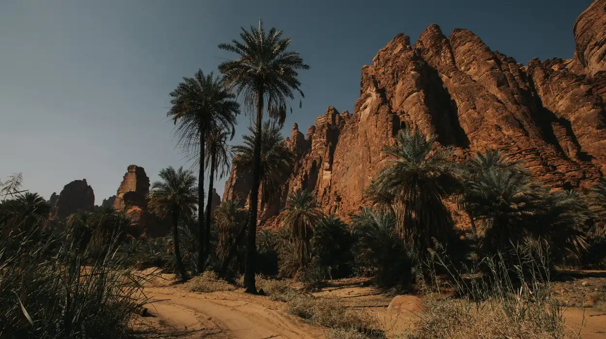 Why Boycotting the Saudi 2034 FIFA World Cup is Crucial for Environmental Sustainability?