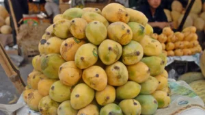 Bakeries, Mangoes, and the Mask of Progress: Why the World Must Boycott Saudi Arabia 2034