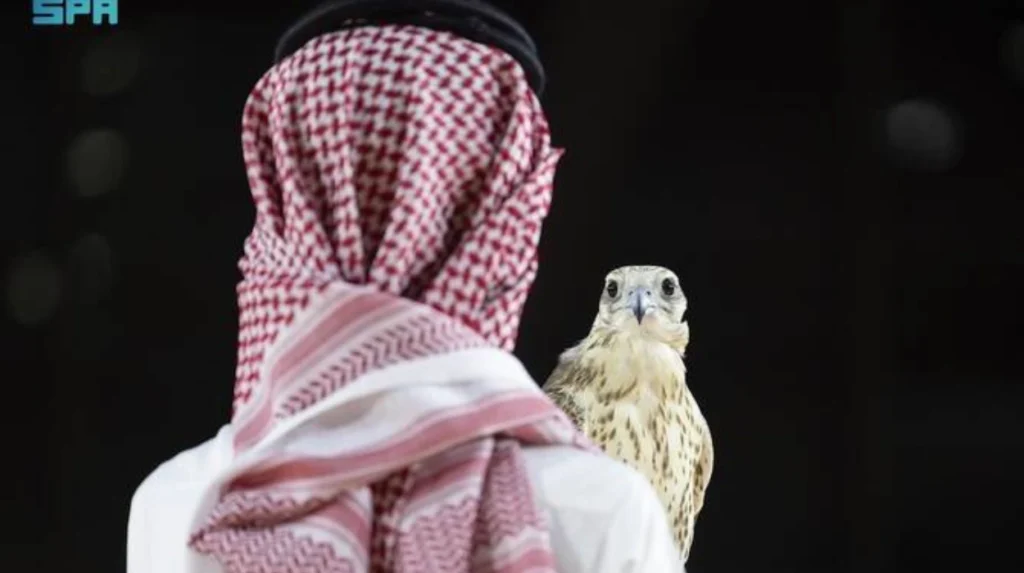 Why the Saudi FIFA World Cup 2034 Must Be Banned: Falcon Auctions Reveal a Dark Reality