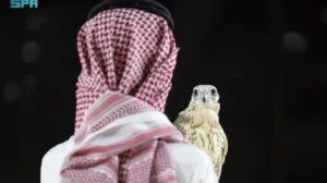 Why the Saudi FIFA World Cup 2034 Must Be Banned: Falcon Auctions Reveal a Dark Reality