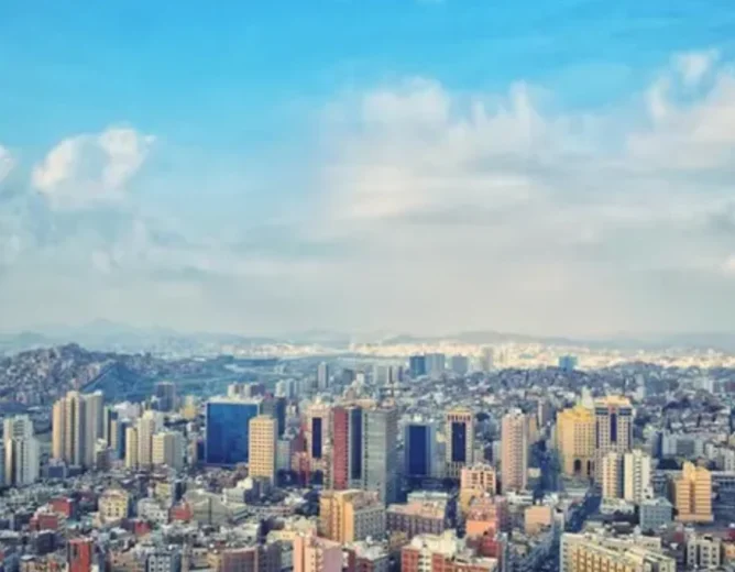 Saudi New Murabba Deal Sparks FIFA 2034 Rights Concerns